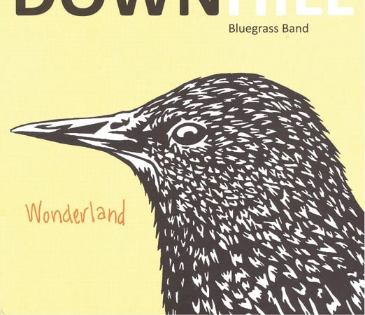 down-hill-bluegrass-band